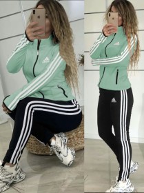 ترينج دالجيتش